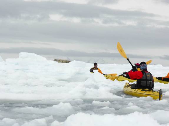 Congestionamento para chegar perto da foca crabeater em Kines Cove, na Antártida